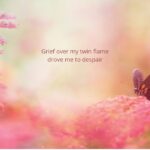 Grief over my twin flame drove me to despair