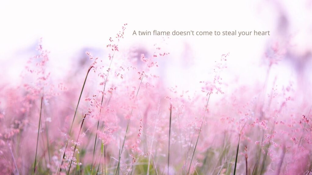 A twin flame doesn't come to steal your heart