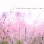 A twin flame doesn't come to steal your heart