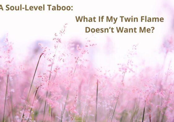 A Soul-Level Taboo: Unwanted by Twin Flame