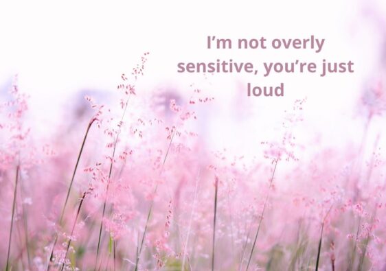 I’m not overly sensitive, you’re just loud
