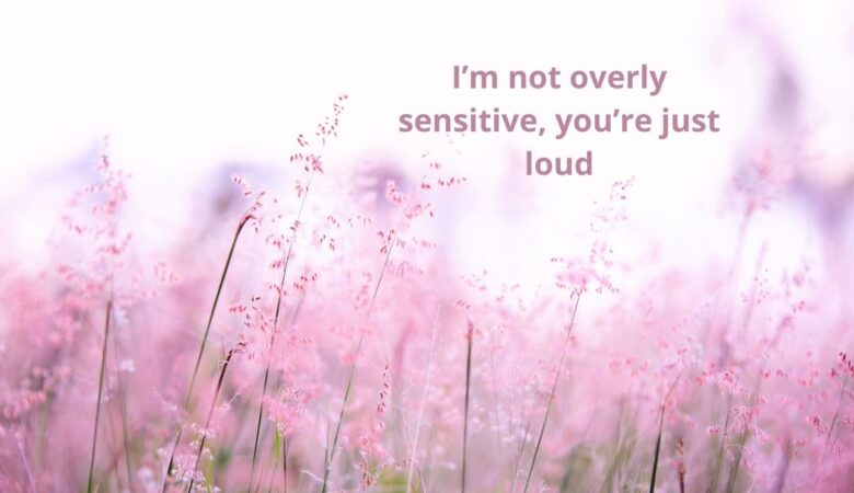 I’m not overly sensitive, you’re just loud