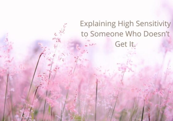 Explaining High Sensitivity to Someone Who Doesn’t Get It.