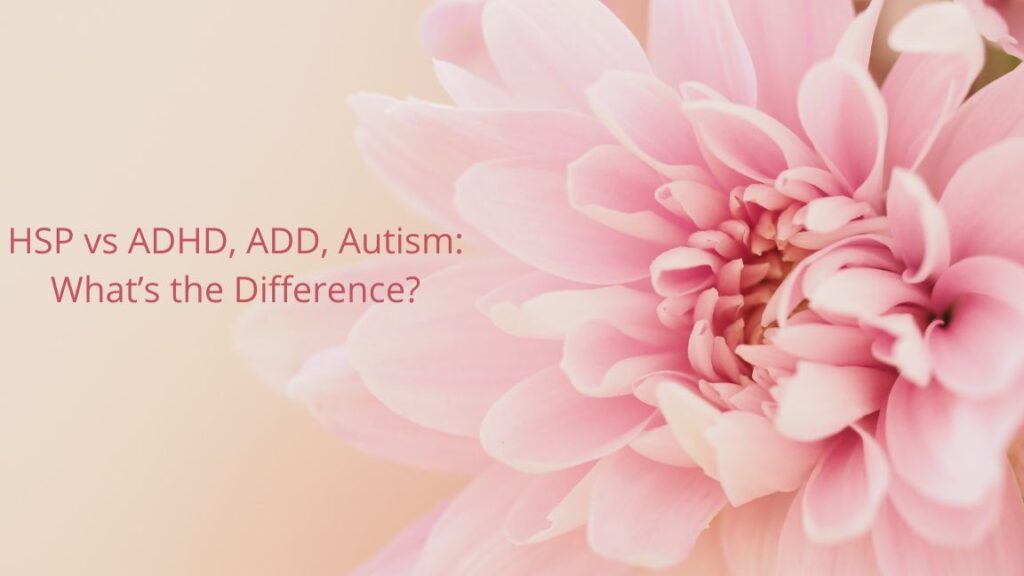 HSP vs ADHD, ADD, Autism: What’s the Difference?