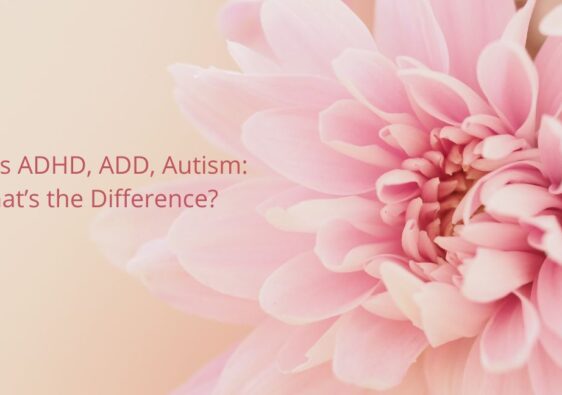 HSP vs ADHD, ADD, Autism: What’s the Difference?