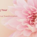 Discovering Your Shadows The Key to True Transformation