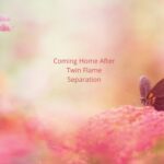 Coming Home After Twin Flame Separation