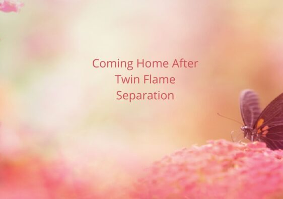 Coming Home After Twin Flame Separation