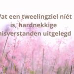 Wat een tweelingziel níét is – hardnekkige misverstanden uitgelegd
