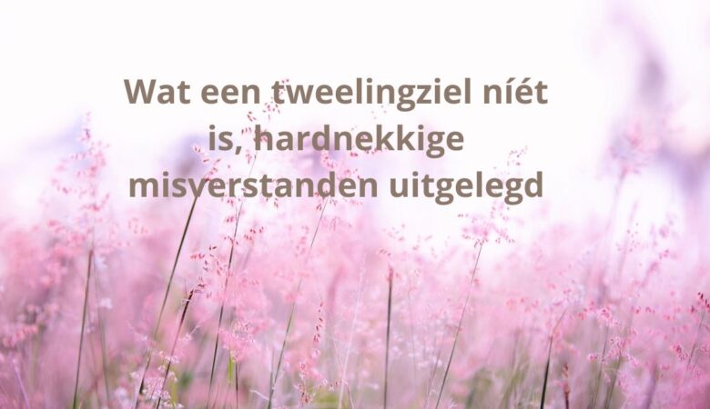Wat een tweelingziel níét is – hardnekkige misverstanden uitgelegd