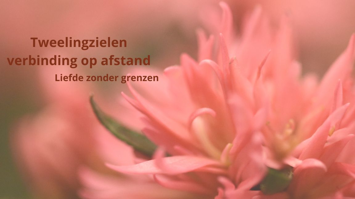 Tweelingverbinding op afstand: liefde zonder grenzen