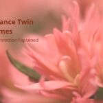 Long-Distance Twin Flames: The HSP Connection Explained