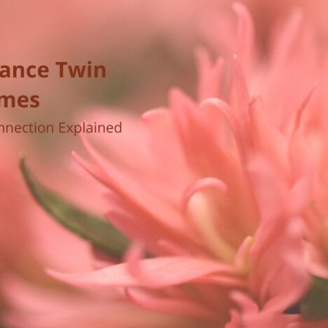 A Journey Through Sensitivity, Love, and Deep Connection