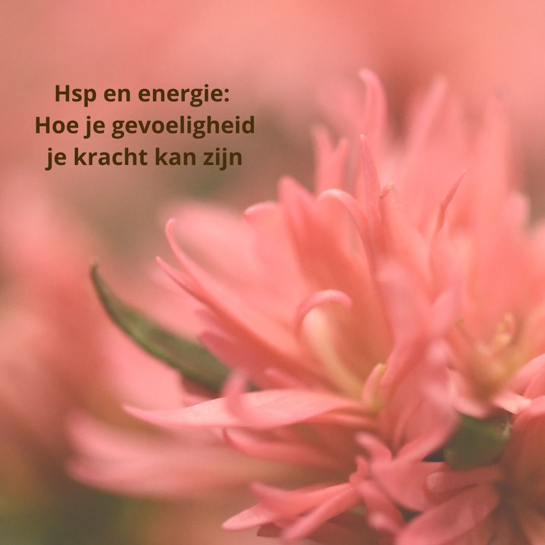 Hsp en energie: Hoe je gevoeligheid je kracht kan zijn