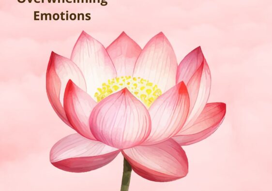 : Your Sensitivity Is Your Strength