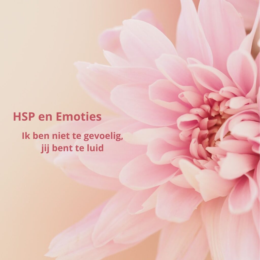 Ik ben niet te gevoelig, jij bent te luid: HSP en Emoties