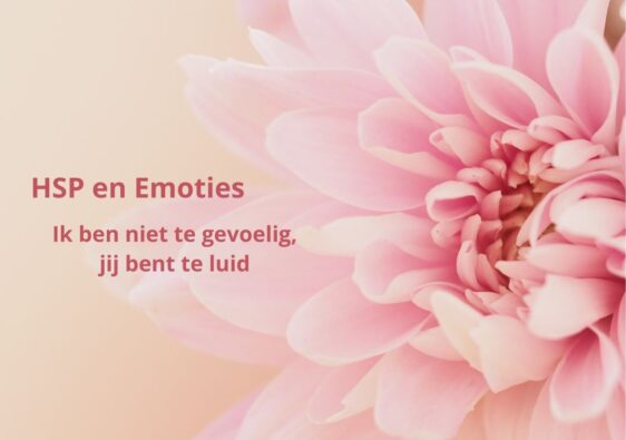 Ik ben niet te gevoelig, jij bent te luid: HSP en Emoties