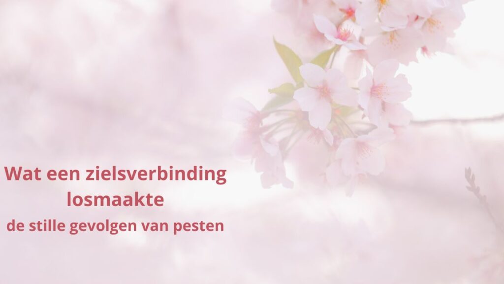 Wat een zielsverbinding losmaakte: de stille gevolgen van pesten