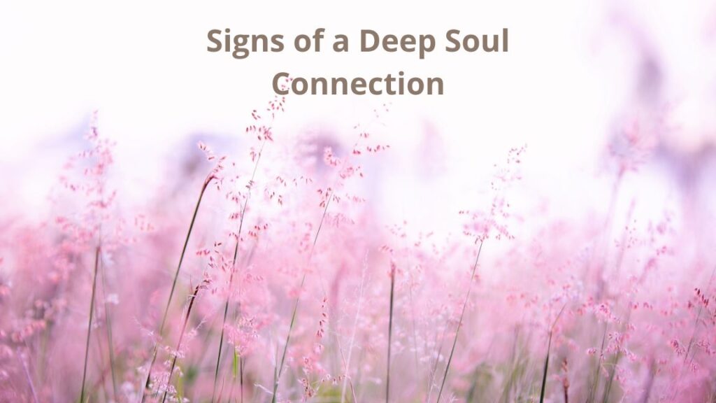 The Ultimate Guide to Spiritual Connections