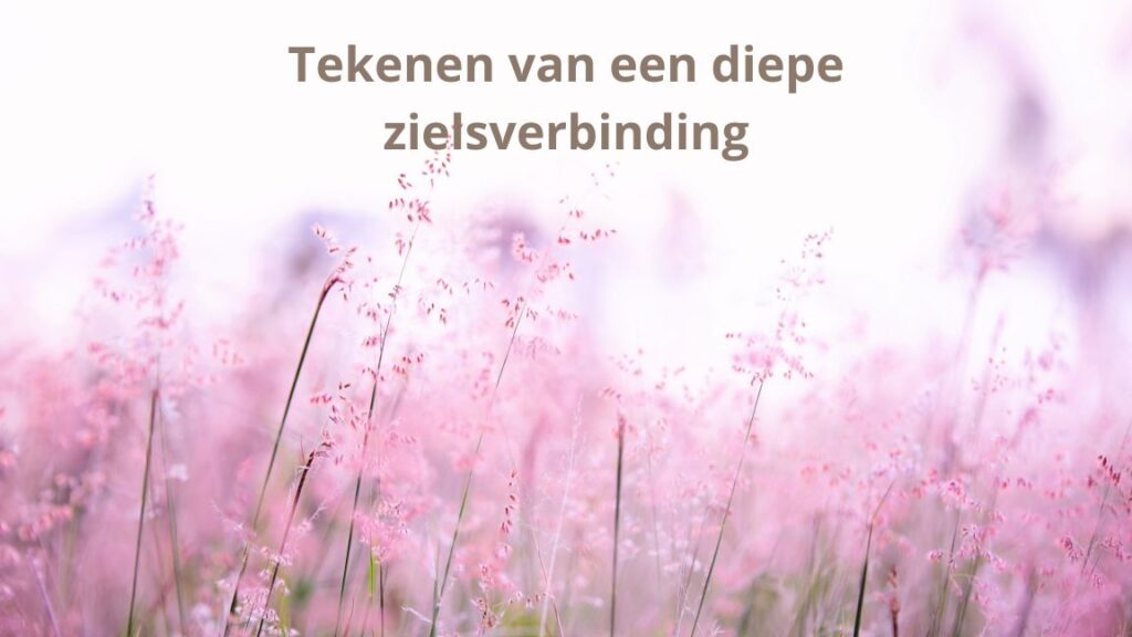 Tekenen van een diepe zielsverbinding
