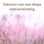 Tekenen van een diepe zielsverbinding