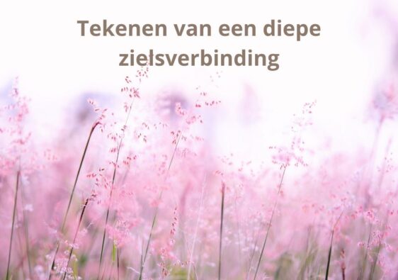 Tekenen van een diepe zielsverbinding