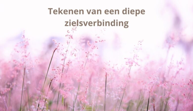Tekenen van een diepe zielsverbinding