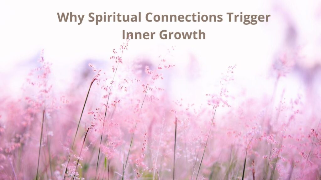 Soul connections & heart guidance