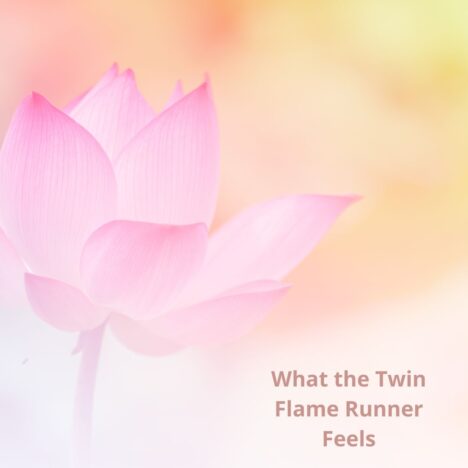 Wat Voelt de Twin Flame Runner? Herkenning Pijn & Ontwaken