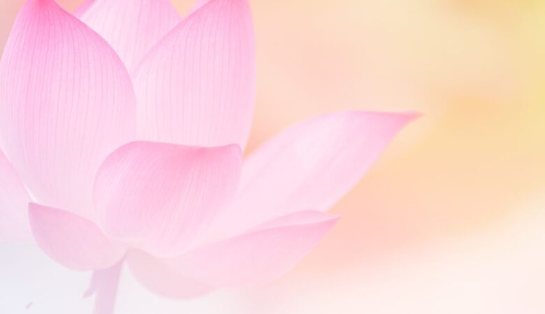 What the Twin Flame Runner Feels: Recognition Pain & Awakening