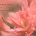 Wanneer ontwaken intens wordt: mijn weg door emoties