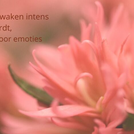 The Deeper Reason You Can’t Fully Let Go