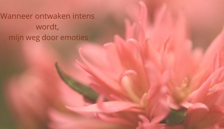 Wanneer ontwaken intens wordt: mijn weg door emoties