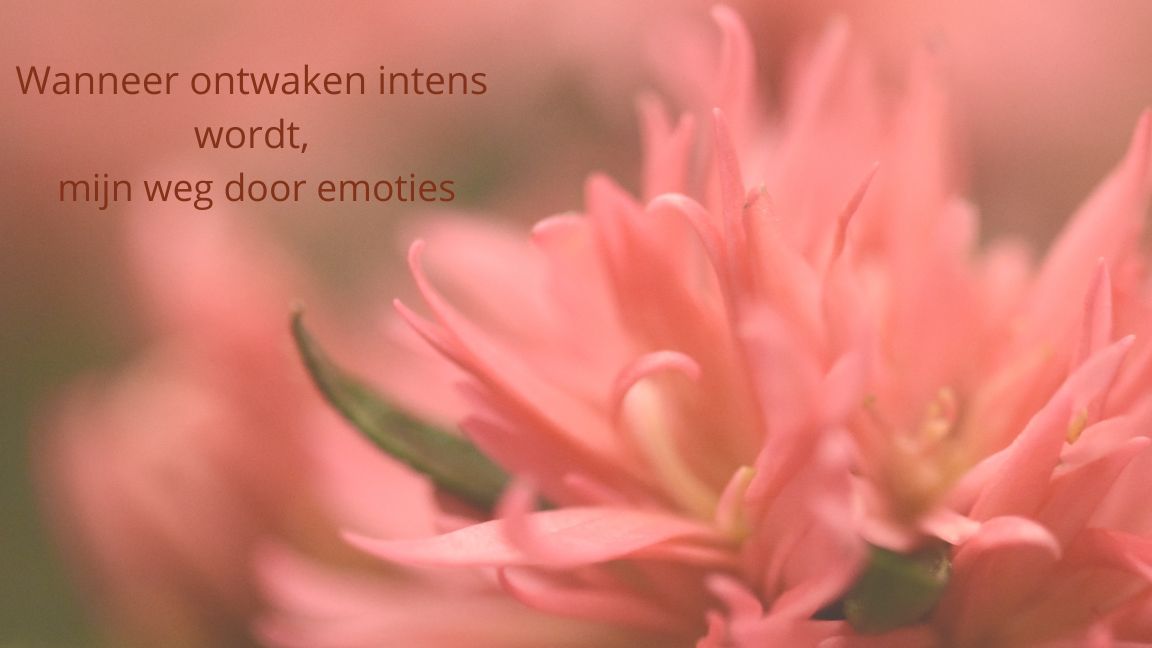 Wanneer ontwaken intens wordt: mijn weg door emoties