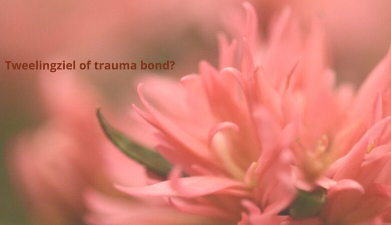 Tweelingziel of trauma bond? Mijn spirituele ontwaken