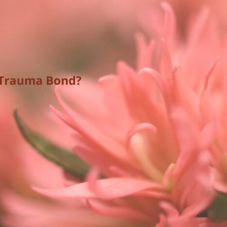 Tweelingziel of trauma bond? Mijn spirituele ontwaken