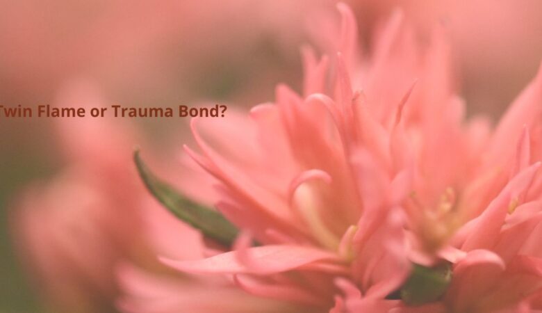 Twin Flame or Trauma Bond? My Spiritual Awakening